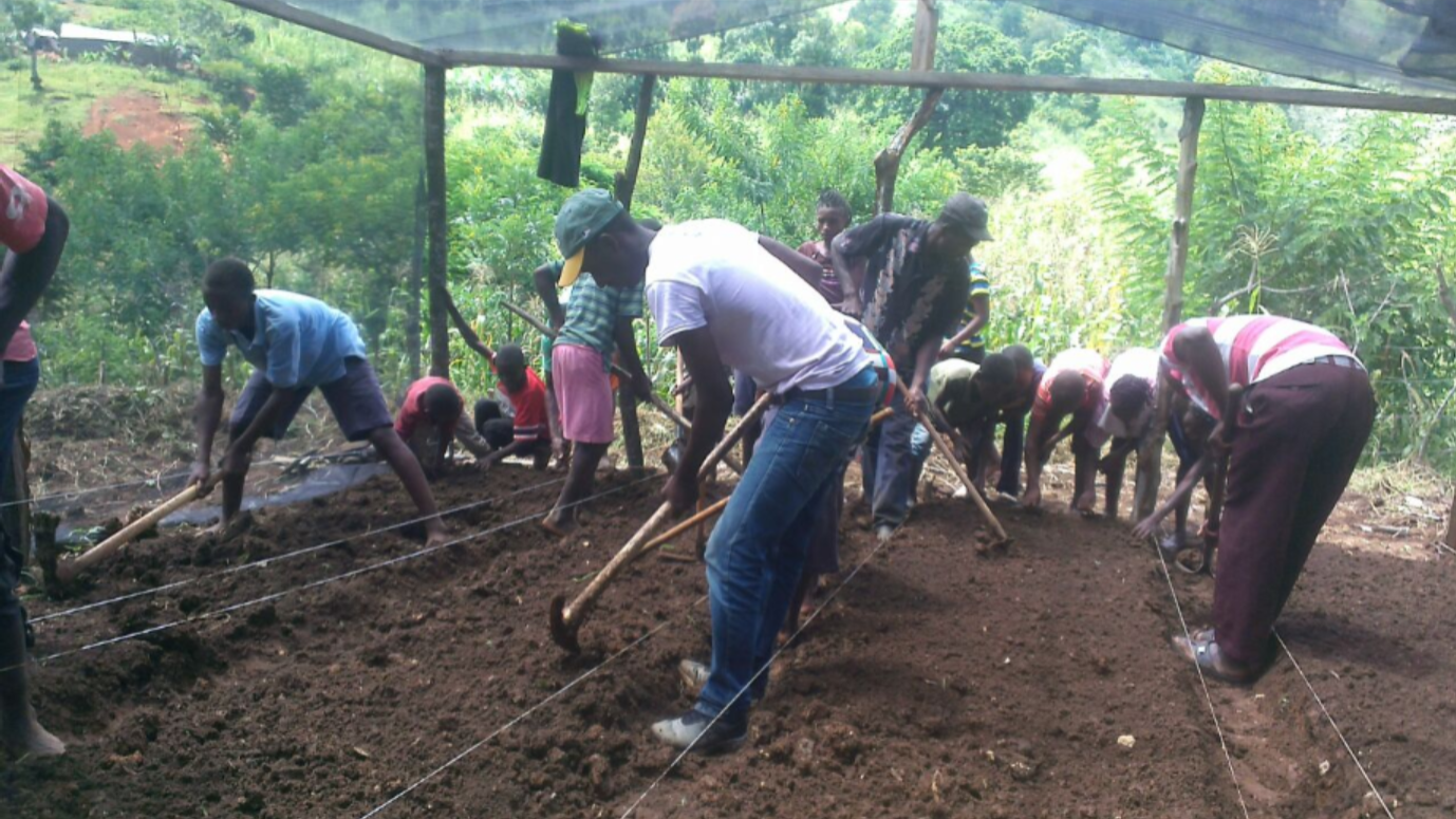 gardening