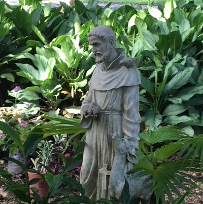 Celebrating St. Francis of Assisi – Partners in Agriculture